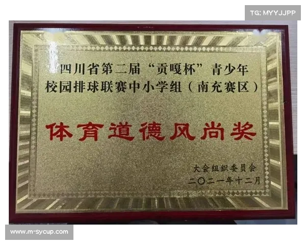 以四川城市排球联赛助力三大球振兴试点省份高质量发展探索路径 以四川城市排球联赛助力三大球振兴试点省份高质量发展探索路径